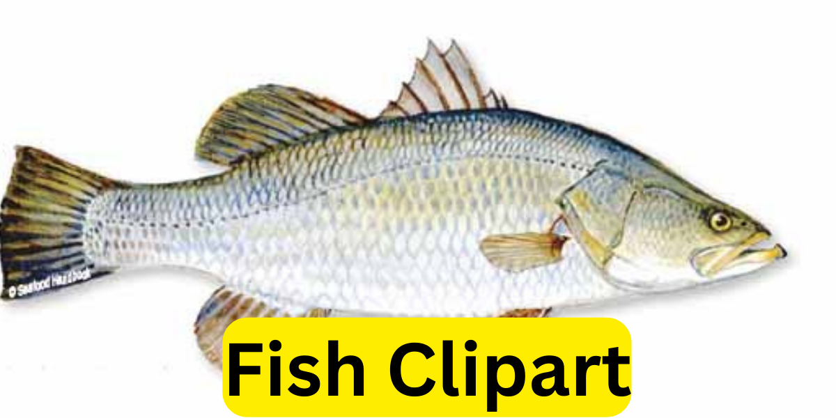 Fish Clipart: Adding a Splash of Creativity to Your Projects