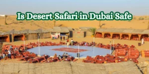 Is Desert Safari in Dubai Safe